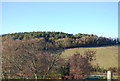 Woodland north of Kentsford Farm