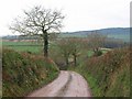 Lane to Emble Farm