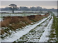 East Cramlington Public Path