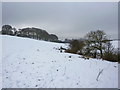 Snow covered pasture