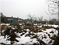 SP2765 : Allotments in the snow by David P Howard