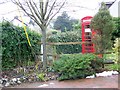 Telephone box, Coombe Bissett