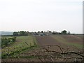 Upper Hurst Farm, Stubbing House Lane, near Birley Edge, Sheffield