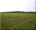 Fields South of Weston under Wetherley