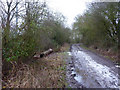 Waddlegoose Lane, now a bridleway