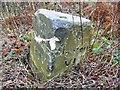 Milestone near Ansty