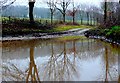 Flooded Track , Lower Whatcombe