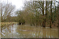 River Itchen in flood at Long Itchington (6)