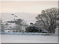 Snowy pastures near High Scotch Hall