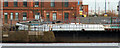 J3575 : The Hamilton drydock, Belfast (2) by Albert Bridge
