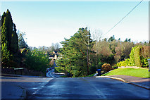 TQ4136 : Woods Hill Lane by Robin Webster