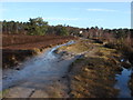 Brentmoor Common