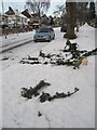 A fallen branch in Carmarthen Avenue