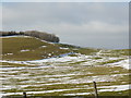 SK1561 : Fields, walls and lingering snow by Peter Barr