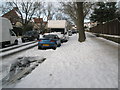 A snowy verge in Penarth Avenue