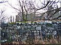 Stone wall and Orbost House