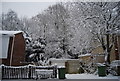 Wintery trees at the meeting of All Saint