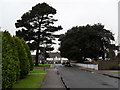 Lamppost in Woodlands Avenue