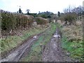 Byway near East Winterslow