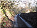 Hurston Lane approaching Hurston Place