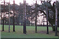 Footpath crossing Kenilworth Golf Course