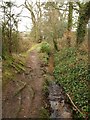 Footpath near Bicton