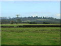 2010 : Over fields south east of Woodrow Road