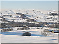 Snowy East Allen Dale near Studdon Park