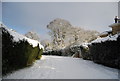 TQ5839 : Calverley Crescent in the snow by N Chadwick