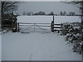 Gate on Ryall Court Road