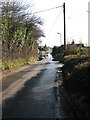 View along Bank Road towards Aldington village