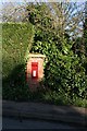 Postbox in the hedge