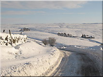 NY8453 : The minor road between Allendale and Sinderhope in the snow (3) by Mike Quinn