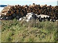 Timber stacks, Irvine pulp mill