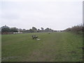 Soggy seats on Broadmark Beach