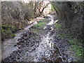 Stream alongside footpath near Brook Gate Farm