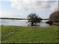 Slight drop in flood level is indicated by the debris line on the grass