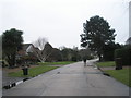 Lone pedestrian in Pigeonhouse Lane