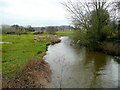 River Culm at Columbjohn