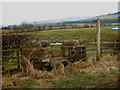 Cononley Footpath