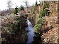 Canal Feeder, Colzium Estate