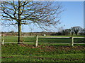 Mersham recreation ground on Flood Street