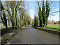 Looking N along Flood Street towards Mersham