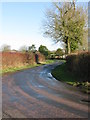 View along Jemmett Lane towards Jemmett Farm