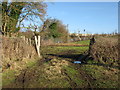 Gateway to field from Blind Lane