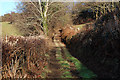 Bridleway heading for Braich Garw