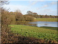 Flooded meadow near Winterfield Farm