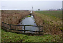TM3642 : Drainage channel south of Shingle Street by Andrew Hill