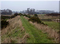 Farm track towards Boyton Hall Farm