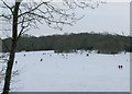Langdon Hills recreation ground cricket pitch in snow